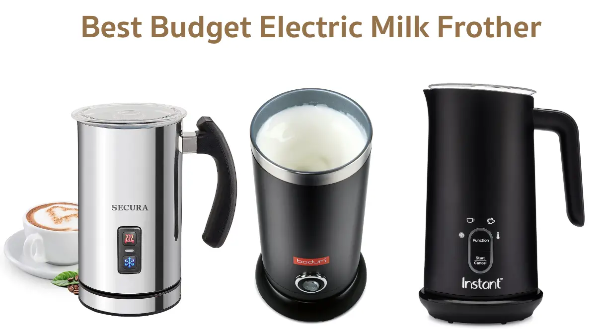 Best Budget Electric Milk Frother Under 50
