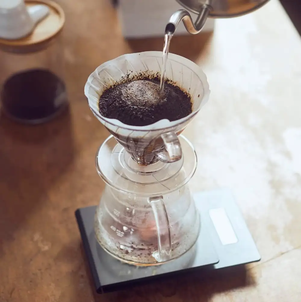 Hario V60